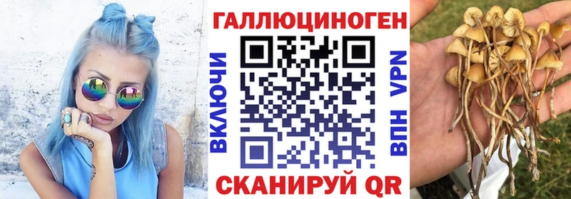 цены   Новосибирск  Псилоцибиновые грибы мухоморы 